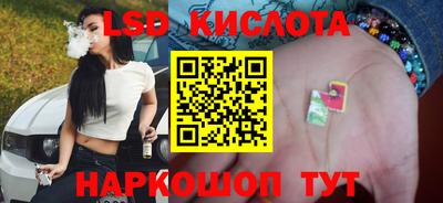 СК Кингисепп