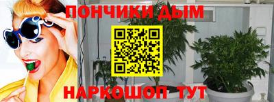 СК Кингисепп