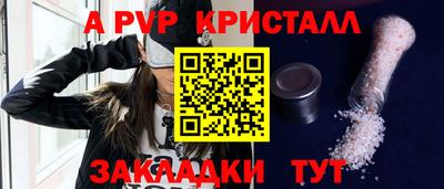 СК Кингисепп