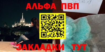 СК Кингисепп