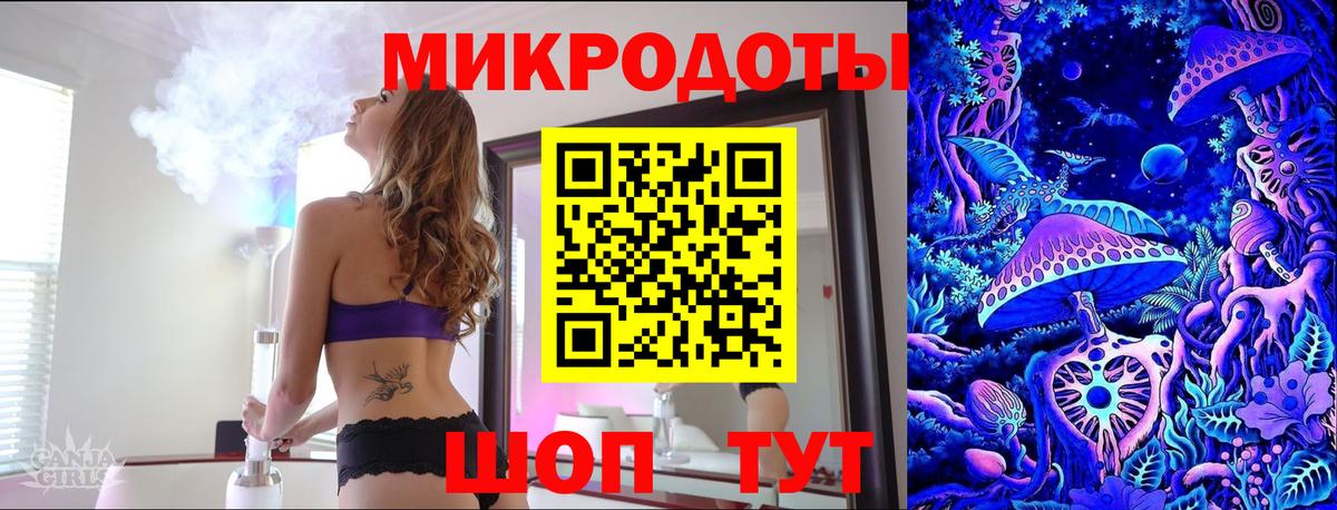 Псилоцибиновые грибы Cubensis Вологда