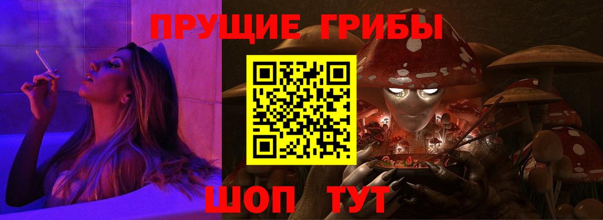 Псилоцибиновые грибы ЛСД  Вход с VPN  Вологда  Псилоцибиновые грибы прущие грибы 